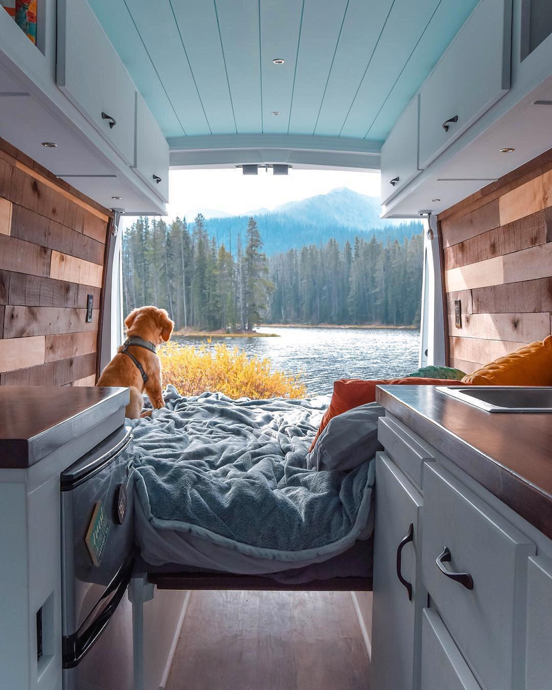 Illustration for article titled Fleet Sprinter DIY Camper Conversion